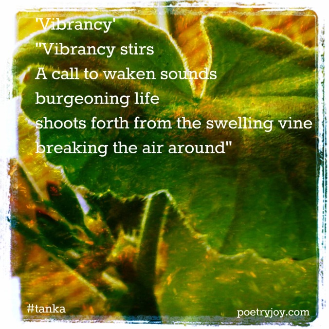 geranium leaf ~ vibrancy tanka poem pin 2