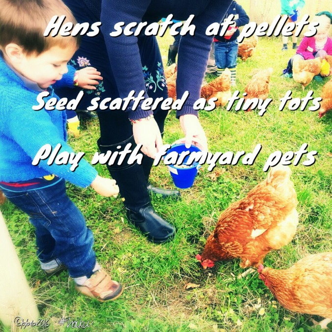 haiku-farmyard-pets