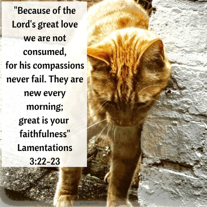 change-cats-whiskers-faith-trust-lamentations-3-22-23-pj