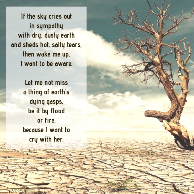 simplify - lament for earth poem excerpt (C)joylenton @poetryjoy.com