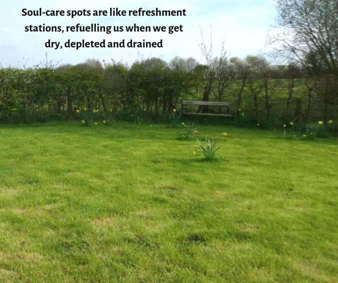 opportunity - quote - Soul-care spots are like refreshment stations, refuelling us when we get dry, depleted and drained - garden - bench (C) joylenton @poetryjoy.com