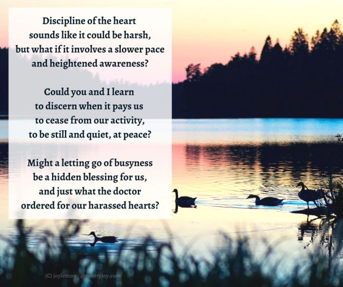 slow - swans on a lake at sunset - heart work poem excerpt (C) joylenton @poetryjoy.com