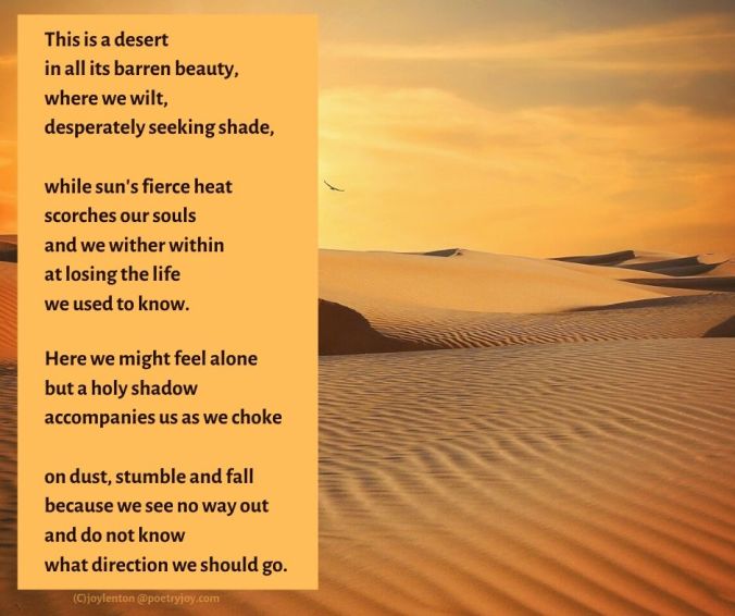 desert - sand - wilderness poem excerpt (C) joylenton @poetryjoy.com