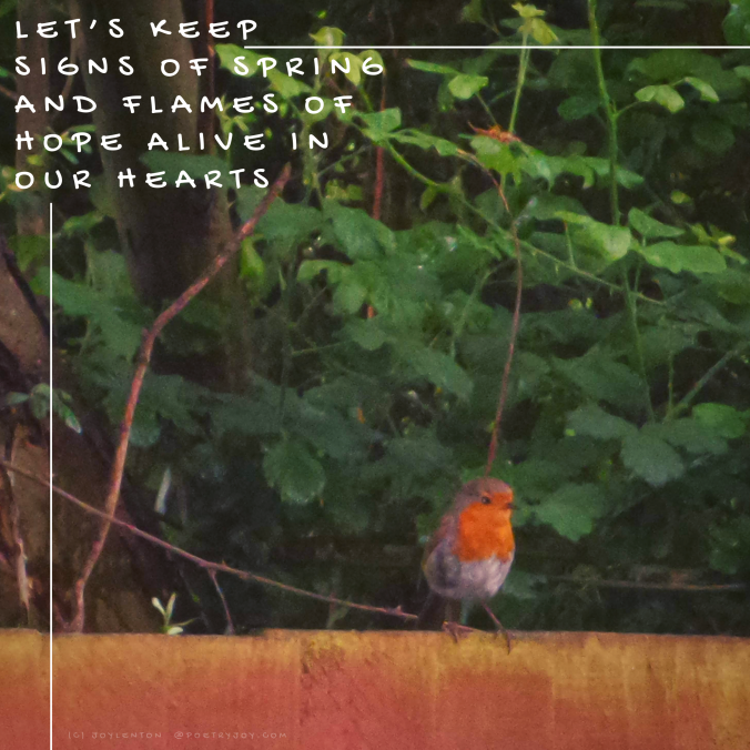 nature - robin on a fence - Let’s keep signs of spring quote (C) joylenton @poetryjoy.com