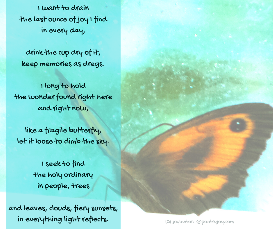 window - butterfly - longings poem excerpt (C) joylenton @poetryjoy.com