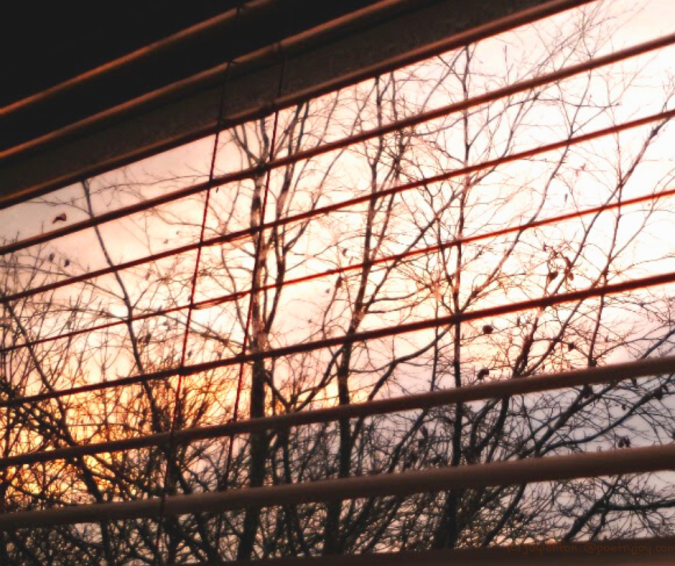 window - blinds - sunset - trees - what your longings and feelings might be saying to you - (C) joylenton @poetryjoy.com