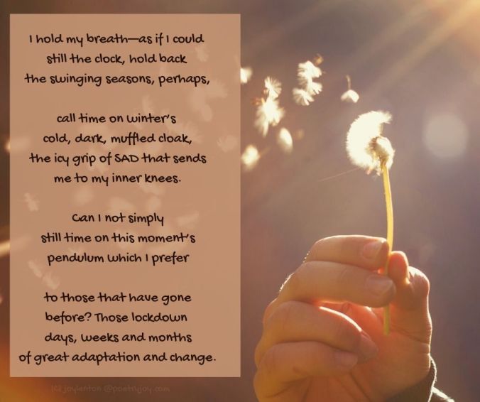 stilling - dandelion clock - stilling poem excerpt (C) joylenton @poetryjoy.com