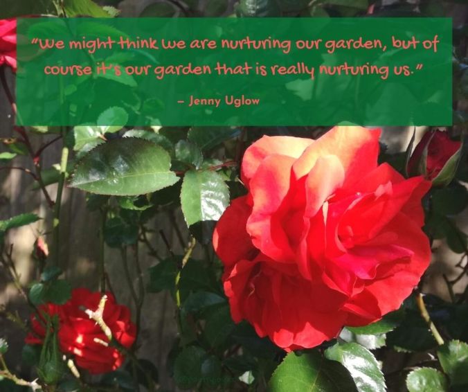 summer - our garden nurturing us quote by Jenny Uglow @poetryjoy.com